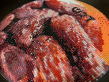 Load image into Gallery viewer, Shivas haminim kit